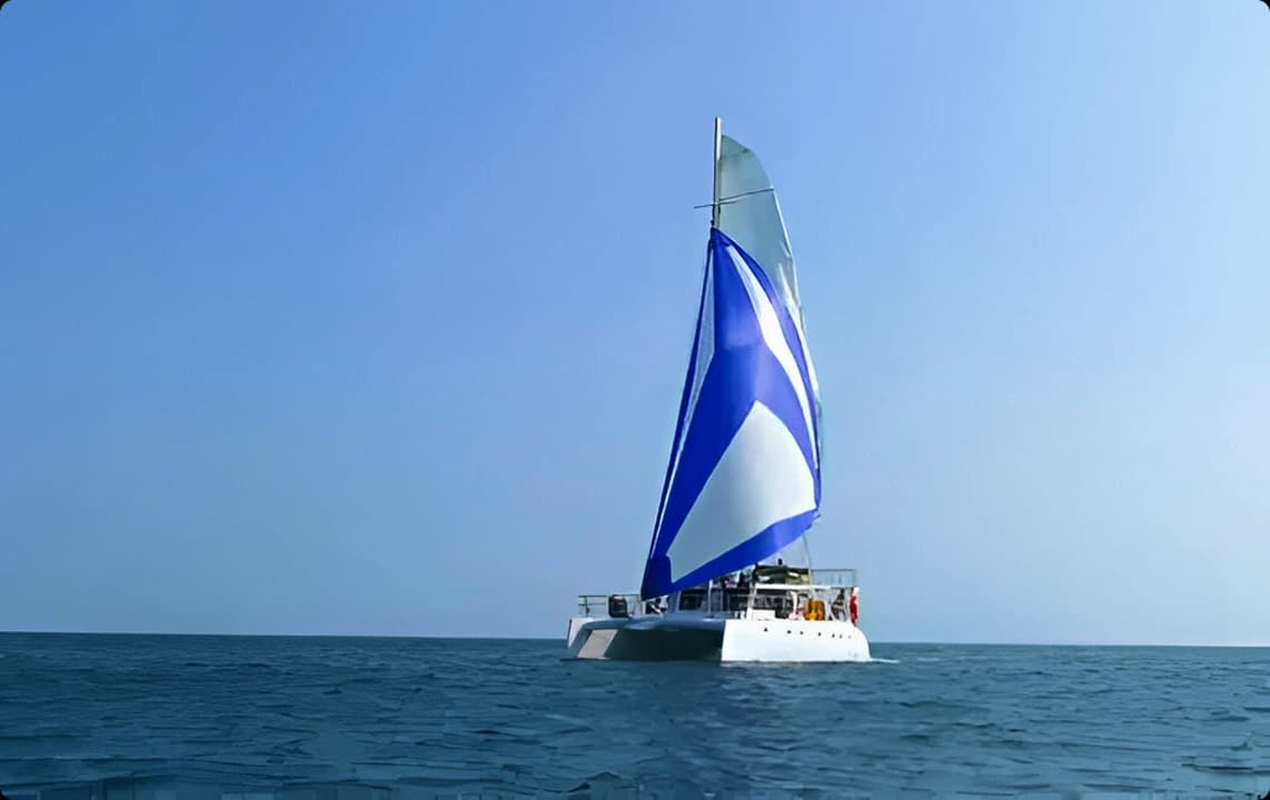 ceycat-55